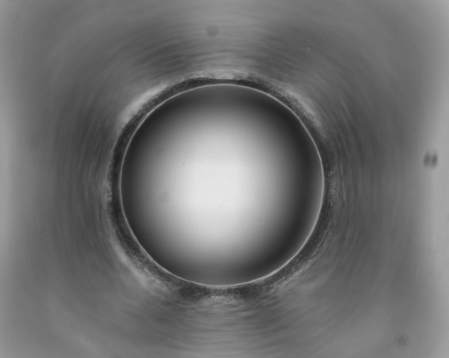 X0000091670536200709061044