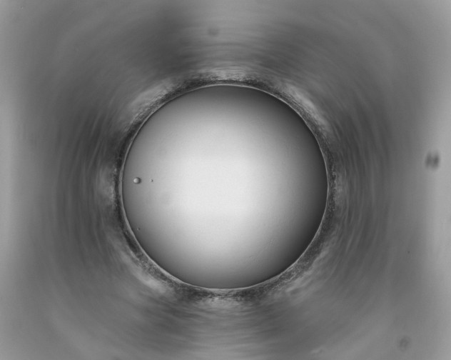 X0000091670537200709061044