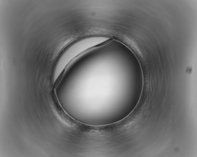 X0000091670538200709061044