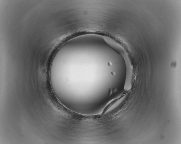 X0000091670540200709061044