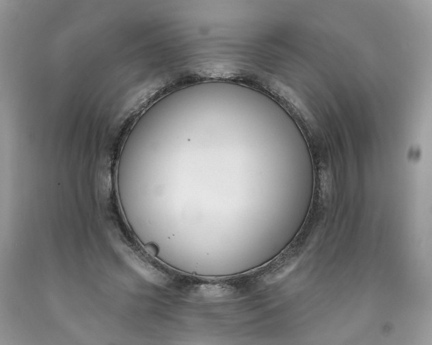X0000091670541200709061044