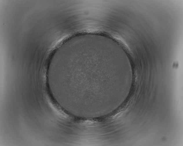 X0000091670542200709061044