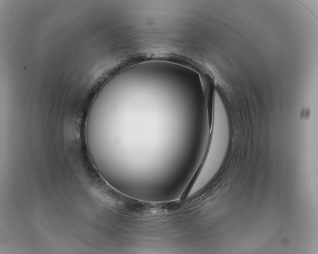 X0000091670543200709061044