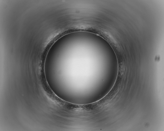 X0000091670544200709061044