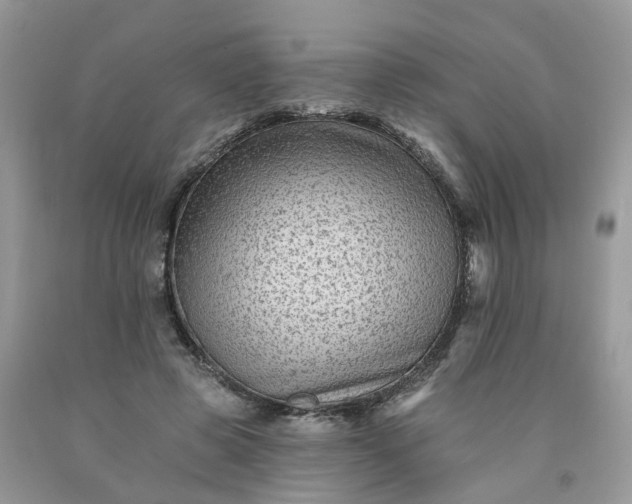 X0000091670545200709061044