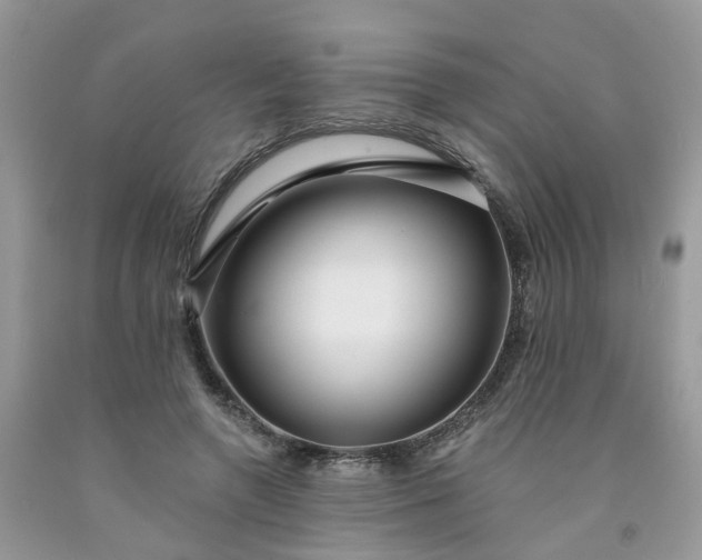 X0000091670546200709061044