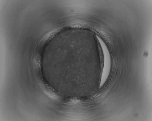 X0000091670547200709061044