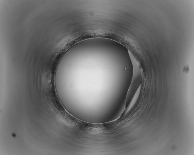 X0000091670548200709061044