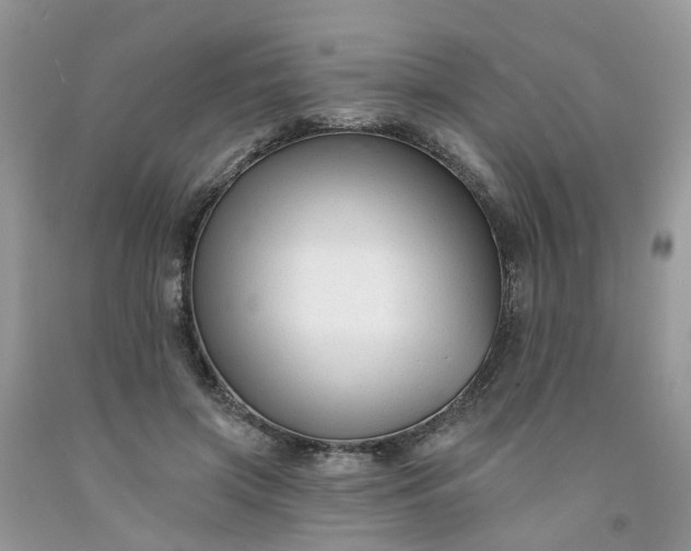 X0000091670549200709061044