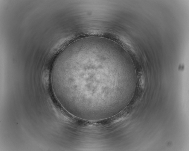 X0000091670550200709061045