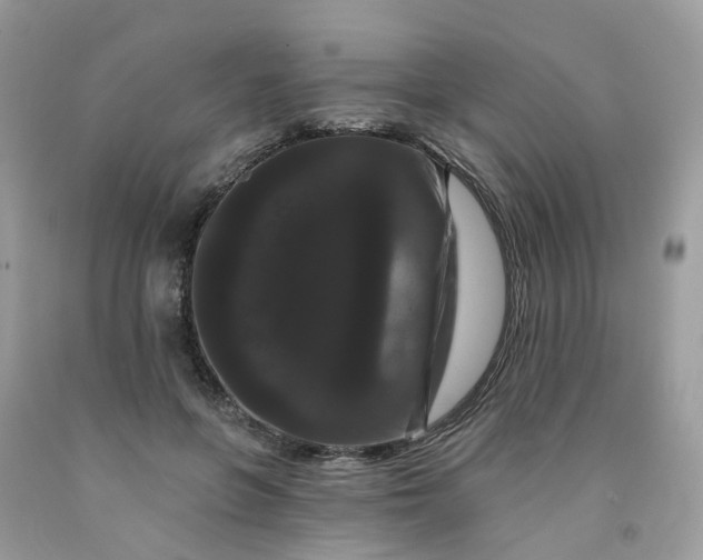 X0000091670551200709061045