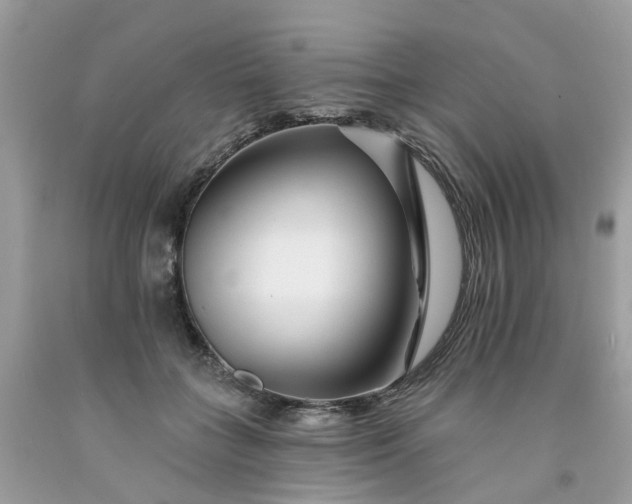X0000091670555200709061045