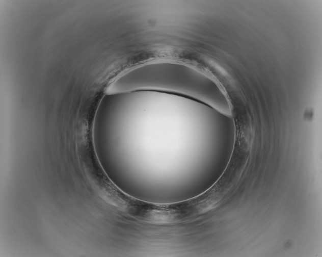 X0000091670556200709061045