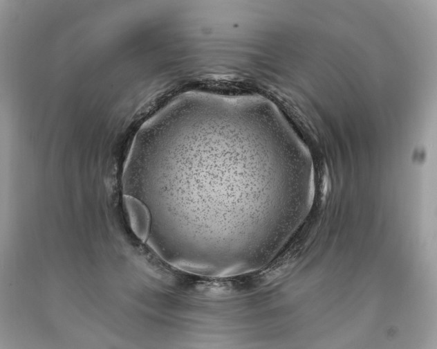 X0000091670559200709061045