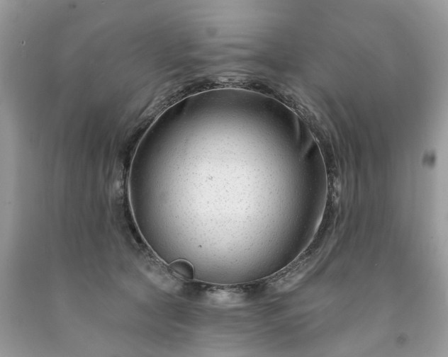X0000091670561200709061045
