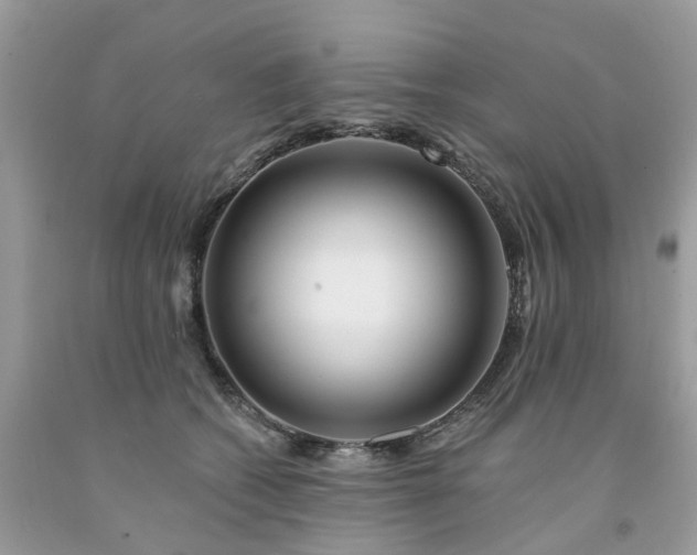 X0000091670562200709061045