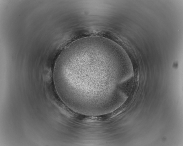 X0000091670563200709061045