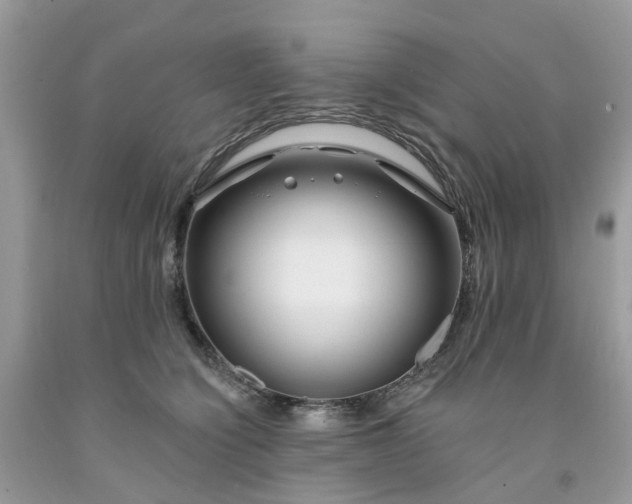 X0000091670564200709061045