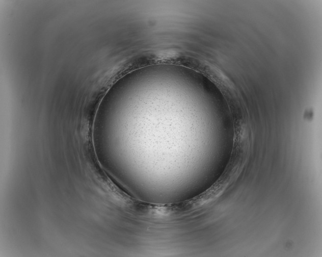 X0000091670565200709061045