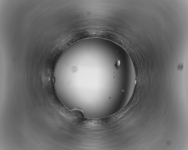 X0000091670567200709061045
