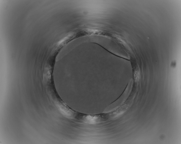 X0000091670570200709061045