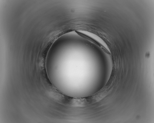 X0000091670571200709061045
