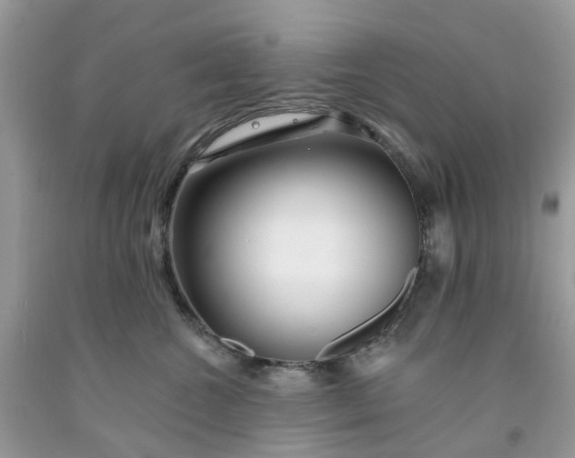 X0000091670572200709061045