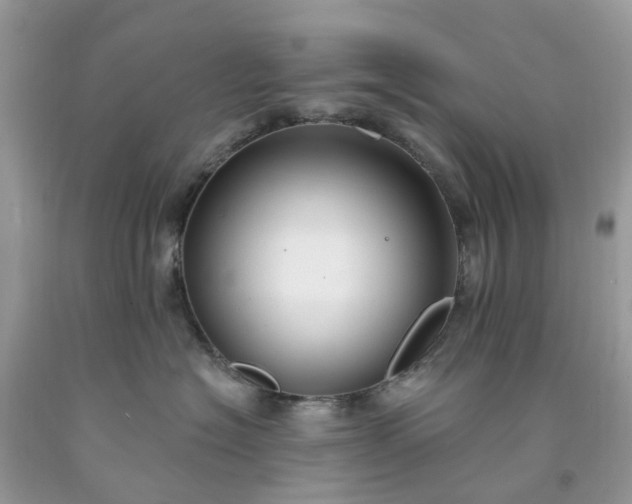 X0000091670574200709061045