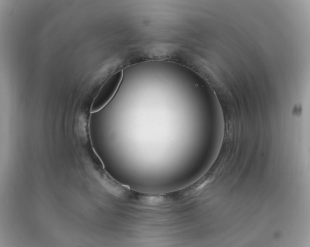 X0000091670575200709061045