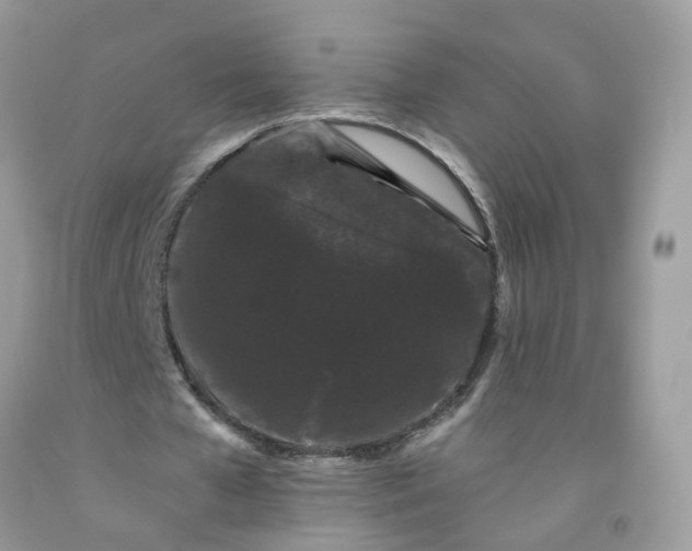 X0000091670577200709061044