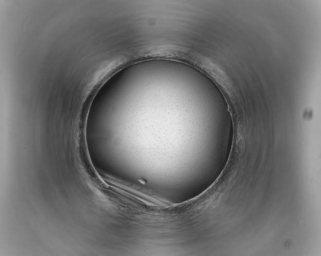 X0000091670578200709061044