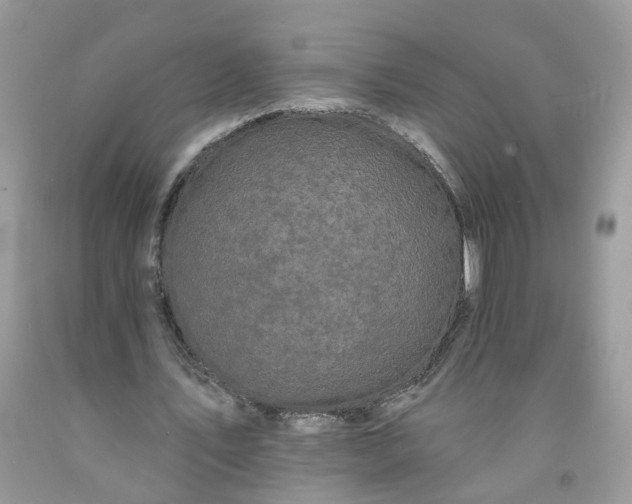 X0000091670579200709061044