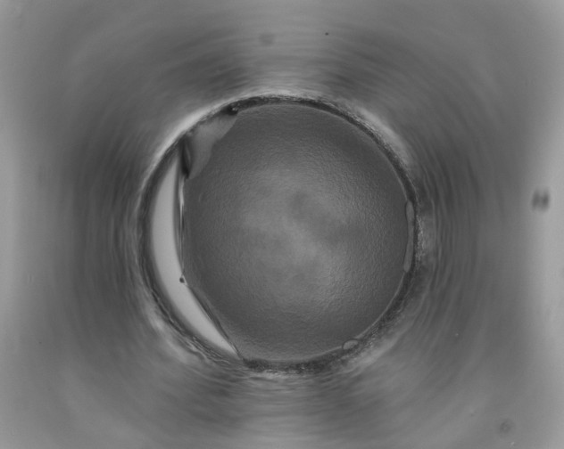 X0000091670580200709061044