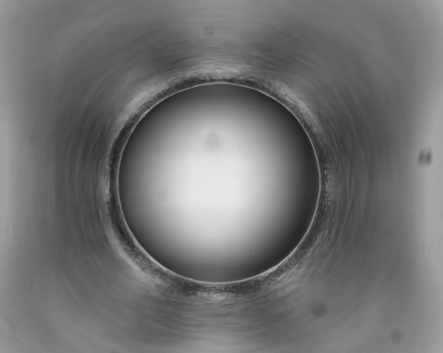 X0000091670582200709061044