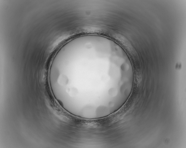 X0000091670583200709061044