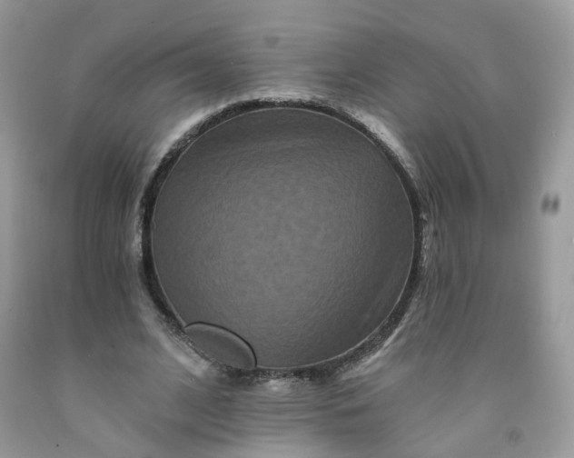 X0000091670584200709061044