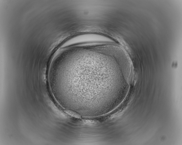 X0000091670585200709061044