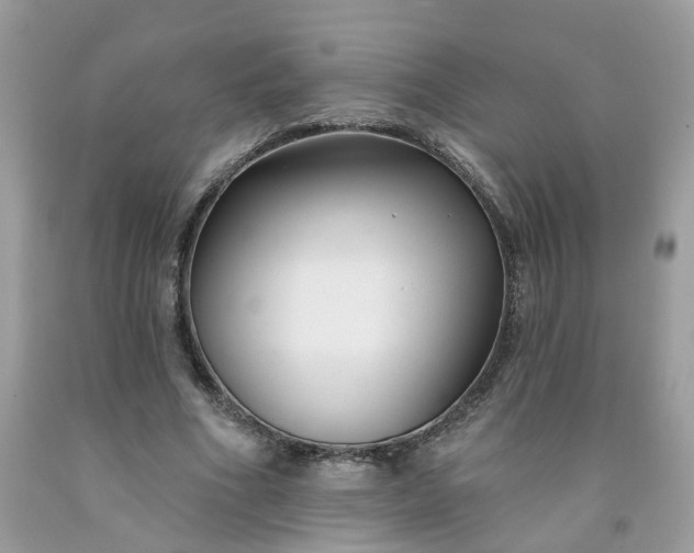 X0000091670586200709061044