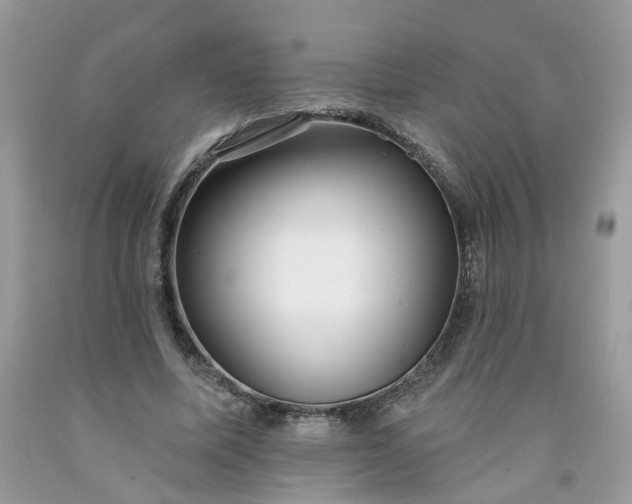 X0000091670587200709061044