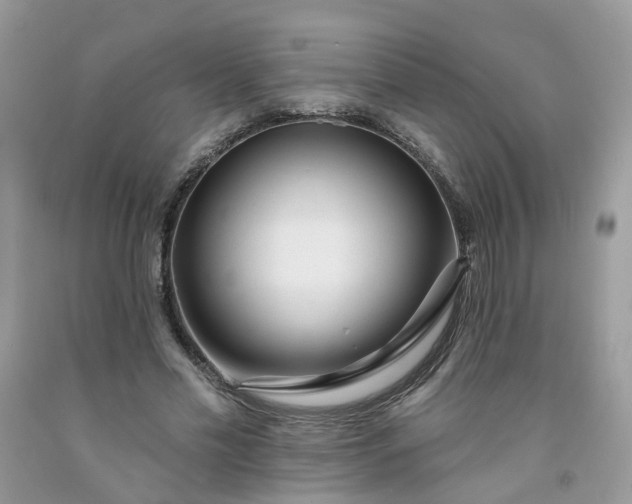 X0000091670589200709061044