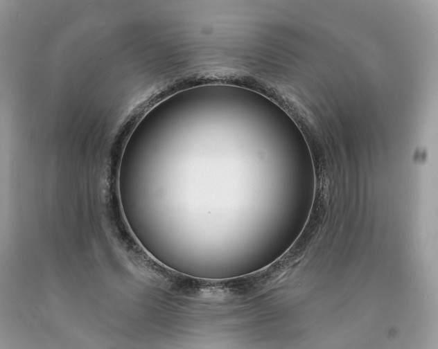 X0000091670591200709061044