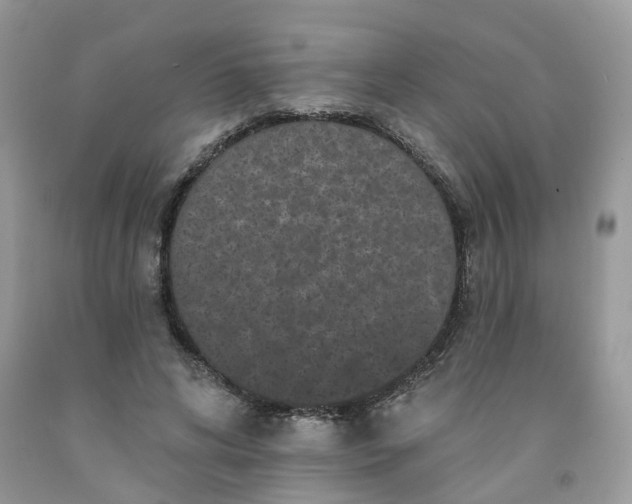 X0000091670592200709061044