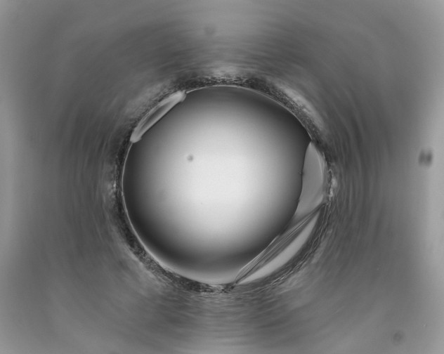 X0000091670593200709061044