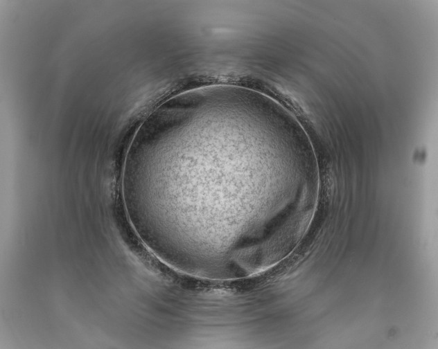 X0000091670594200709061044