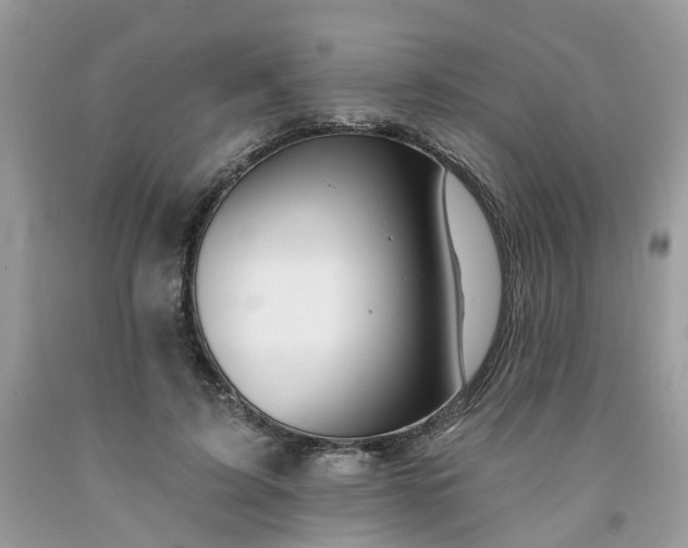 X0000091670595200709061044
