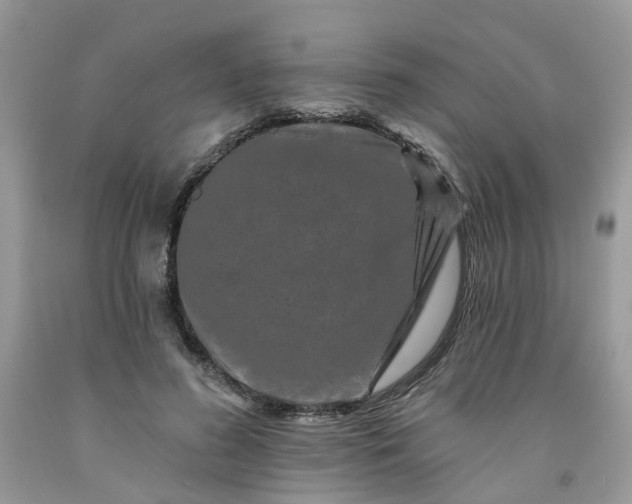 X0000091670596200709061044