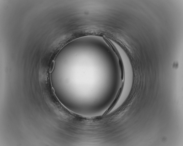 X0000091670597200709061044
