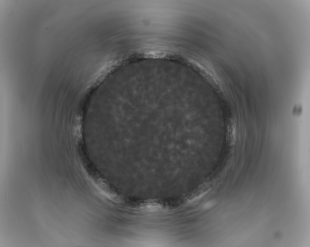 X0000091670598200709061044