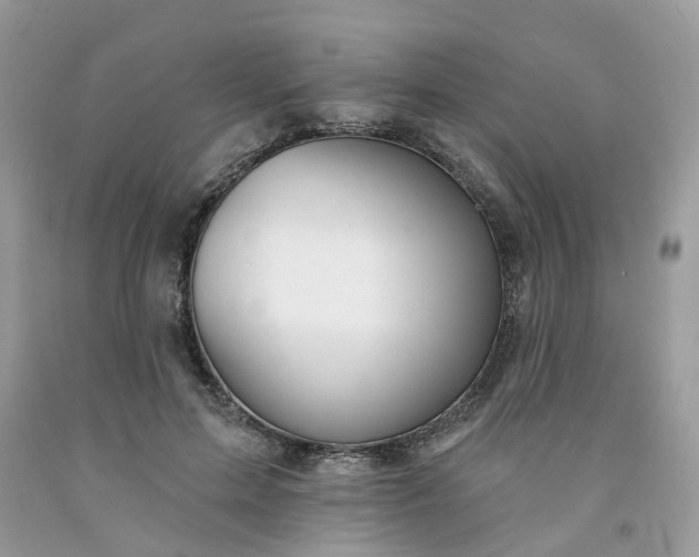 X0000091670599200709061044