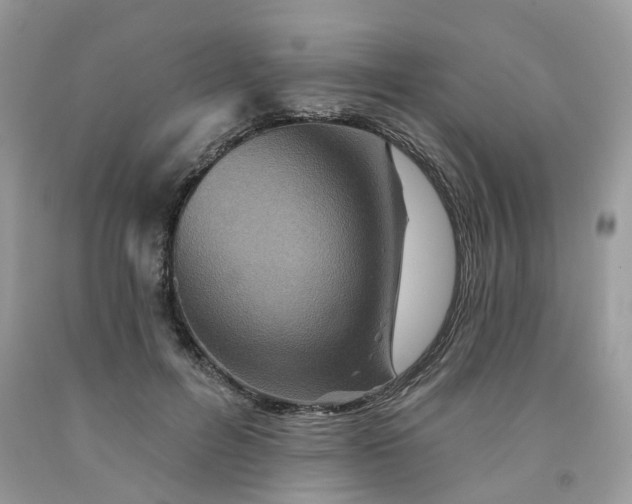 X0000091670600200709061044